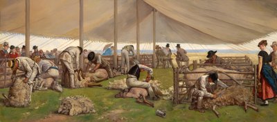 A Sheep Shearing Match by Eyre Crowe